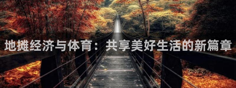 球速体育：地摊经济与体育：共享美好生活的新篇章