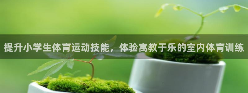 球速体育：提升小学生体育运动技能，体验寓教于乐的室内体育训练