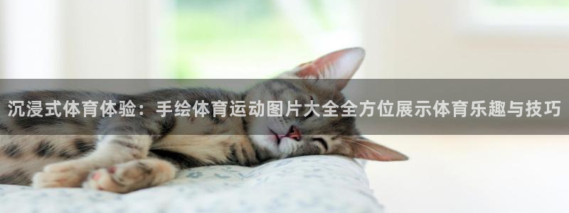 球速体育：沉浸式体育体验：手绘体育运动图片大全全方位展示体育乐趣与技巧