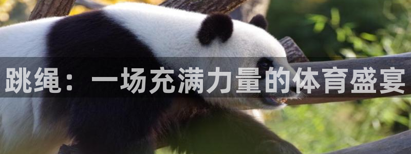 球速体育：跳绳：一场充满力量的体育盛宴