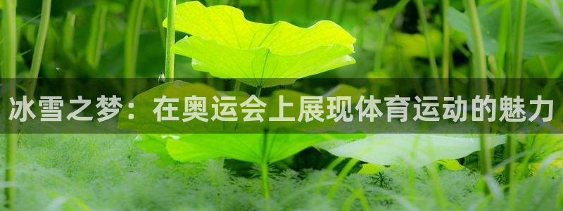 球速体育：冰雪之梦：在奥运会上展现体育运动的魅力