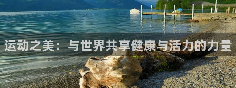 球速体育：运动之美：与世界共享健康与活力的力量