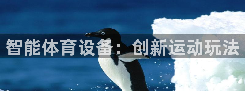 球速体育：智能体育设备：创新运动玩法