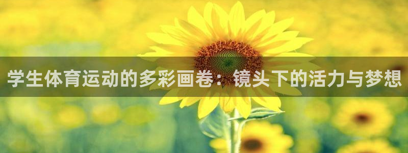 球速体育：学生体育运动的多彩画卷：镜头下的活力与梦想