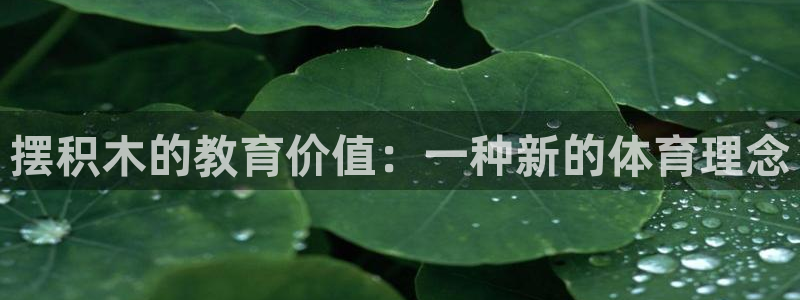 球速体育：摆积木的教育价值：一种新的体育理念
