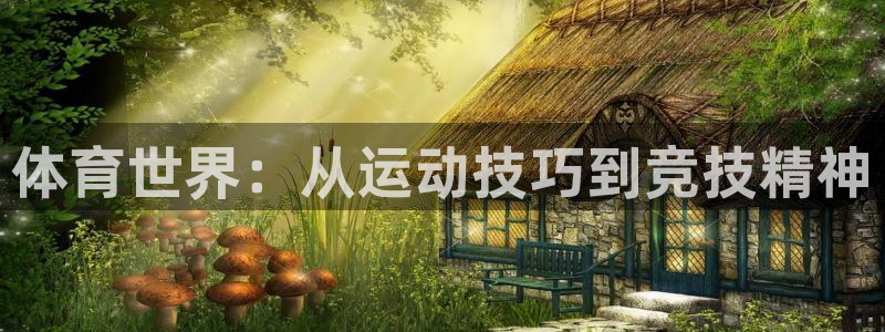 球速体育：体育世界：从运动技巧到竞技精神